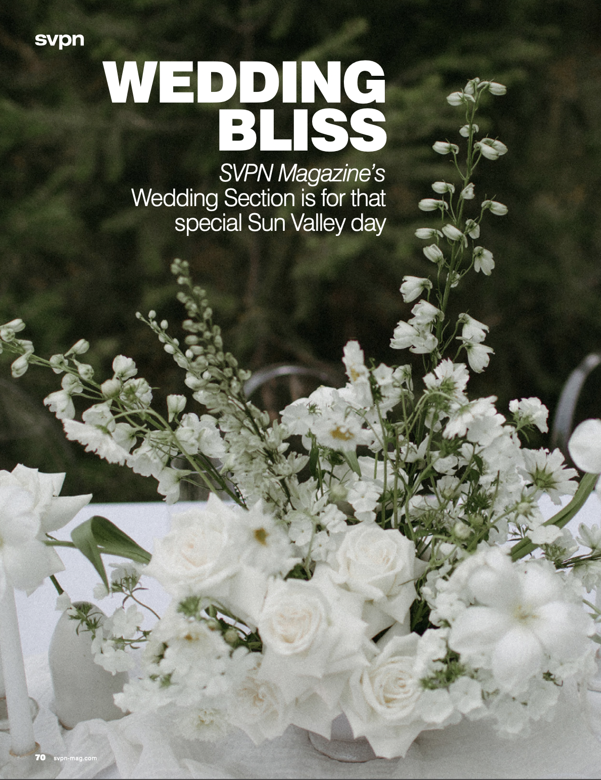Wedding Bliss Image